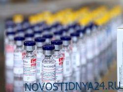 Первая партия вакцины «Спутник V» поступит в Беларусь в начале 2021 года