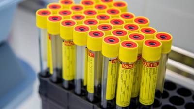 Новый «британский» штамм коронавируса обнаружили в Португалии