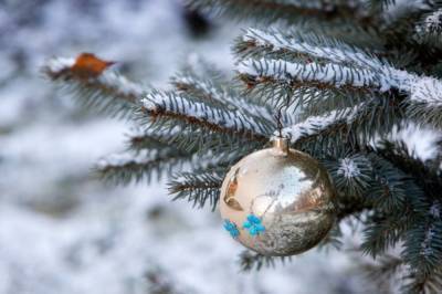 Синоптики рассказали, какой будет погода в Украине на Новый год