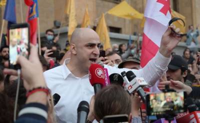 Партию Саакашвили возглавил лидер антироссийских акций в Тбилиси