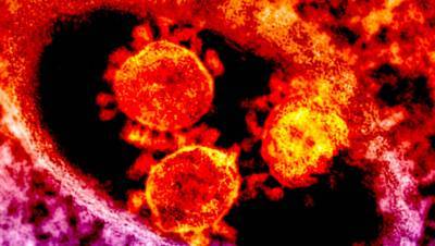 Ученые назвали причину высокой заразности нового варианта коронавируса для детей