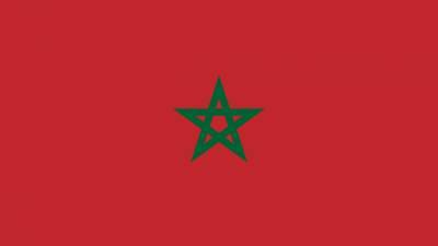 Выборы президента в ЦАР вызвали ажиотаж среди граждан республики в Марокко