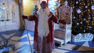 Австрийский журналист посетил резиденцию Деда Мороза в Великом Устюге