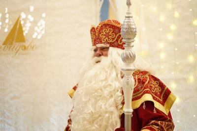 Австрийский журналист поделился впечатлениями от посещения резиденции Деда Мороза