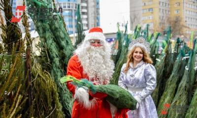 Новый год и госзакупки: с какими праздничными тратами уходит в 2021-й Челябинск