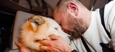 Карельский путешественник-полярник Виктор Симонов установит памятный знак своей умершей собаке