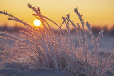 До 42 градусов мороза?: синоптики предупредили о погоде на январь-2021