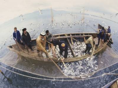 Двое из 19 рыбаков затонувшего в Баренцевом море судна спасены
