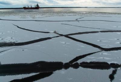 На поиски рыбаков у Новой Земли под Архангельском направлены пять судов