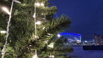 На «Екатеринбург Арене» 30 декабря откроется каток
