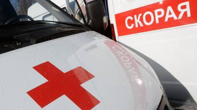 В Амурской области два человека погибли в ДТП с КамАЗом