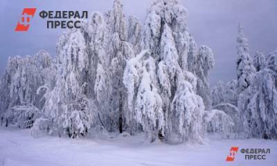 Кемеровские синоптики рассказали о погоде в первые дни 2021 года