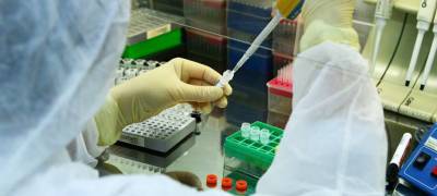 Число проводимых тестов на коронавирус резко сократилось в Карелии
