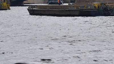 Специалисты ликвидируют разлив нефтепродуктов с иностранного судна в Находке