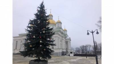Пензенская новогодняя елка вошла в топ-10 самых высоких в России