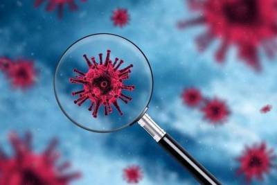 Суточный прирост заболевших коронавирусом в Чувашии снижается третий день подряд