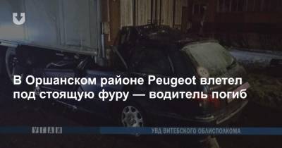 В Оршанском районе Peugeot влетел под стоящую фуру — водитель погиб