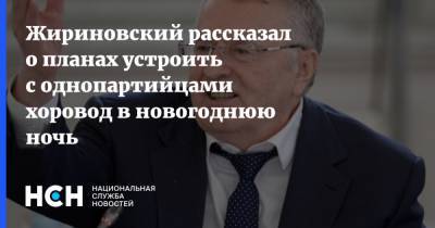 Жириновский рассказал о планах устроить с однопартийцами хоровод в новогоднюю ночь