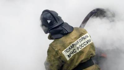 Сотрудники МЧС эвакуировали 25 животных из загоревшегося в Иркутске приюта