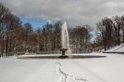 По паркам Петергофа в новогодние праздники можно будет гулять бесплатно