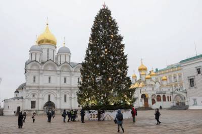 Самые высокие новогодние елки установили в Уфе, Москве и Петербурге