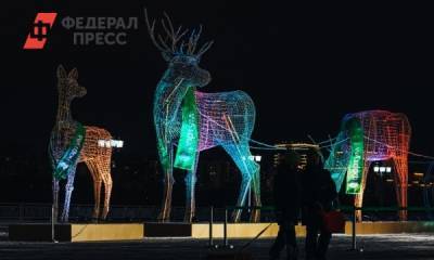 На набережной в Тюмени появились светящиеся олени