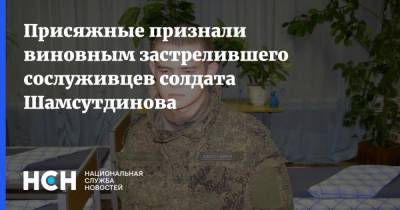 Присяжные признали виновным застрелившего сослуживцев солдата Шамсутдинова