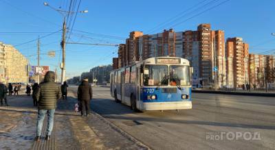 Ладыков утвердил подорожание проезда на автобусах и троллейбусах в Чебоксарах