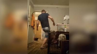 Зоозащитников возмутило видео обращения пьяного дрессировщика с животными