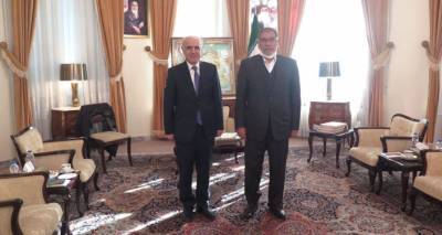 Иран готов расширять сотрудничество с Арменией – Али Шамхани