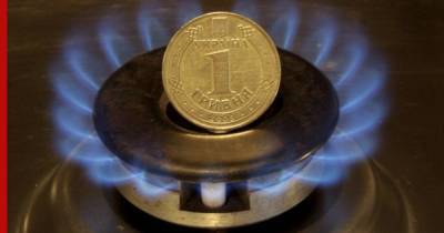 В рекордной цене на газ для населения оппозиция Украины обвинила власти