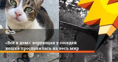 «Все вдом»: ворующая усоседей кошка прославилась навесь мир