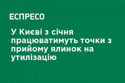 В Киеве с января будут работать точки по приему елок на утилизацию