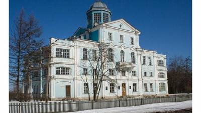 В Петербурге пройдет реставрация фасадов дворца Воронцова в Новознаменке