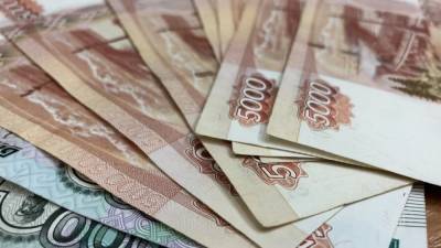 Иноагенты в РФ обошлись зарубежным спонсорам в 2,5 млрд рублей