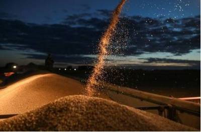 Агентство "СовЭкон" снизило прогноз экспорта пшеницы из РФ в сезоне 2020/2021 до 36,3 млн тонн