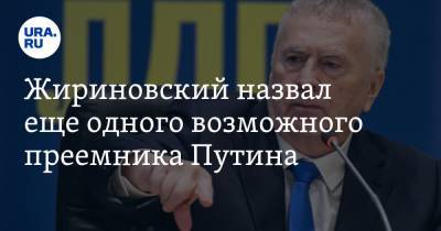 Жириновский назвал еще одного возможного преемника Путина