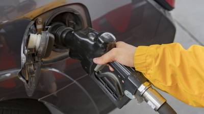 Правительство РФ будет следить за стабильностью цен на бензин