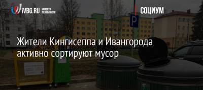 Жители Кингисеппа и Ивангорода активно сортируют мусор