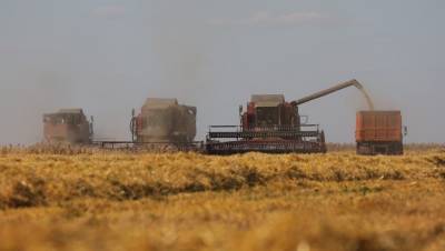 Запасы зерна в Петербурге увеличились на 1,5 тыс. тонн