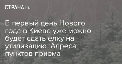 В первый день Нового года в Киеве уже можно будет сдать елку на утилизацию. Адреса пунктов приема