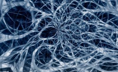Ученые доказали способность нервных клеток к восстановлению
