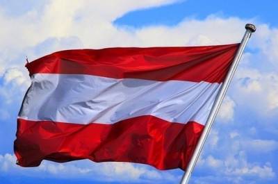 Глава МИД Австрии: дипломатия переходит в виртуальное пространство