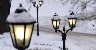 В новогодний вечер освещение в парках Риги выключат в 18 часов