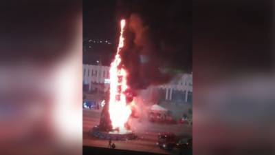 Новогодняя елка сгорела в узбекском городе. Видео