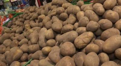 Украина в тройке крупнейших производителей картофеля, но есть ряд проблем