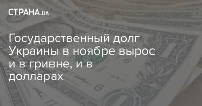 Государственный долг Украины в ноябре вырос и в гривне, и в долларах