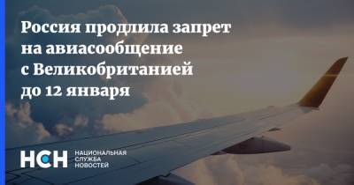 Россия продлила запрет на авиасообщение с Великобританией до 12 января