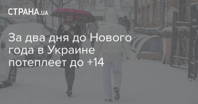 За два дня до Нового года в Украине потеплеет до +14