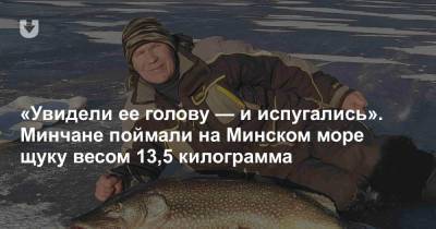 «Увидели ее голову — и испугались». Минчане поймали на Минском море щуку весом 13,5 килограмма